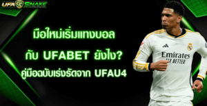 มือใหม่เริ่มแทงบอล Ufabet
